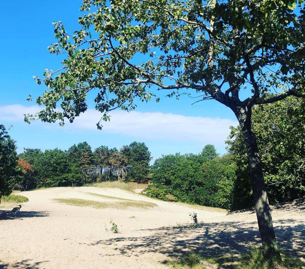 B&B Maison Verspyck Bergen aan Zee Dış mekan fotoğraf